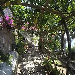 Bed & Breakfast Casa Hermosa 2*