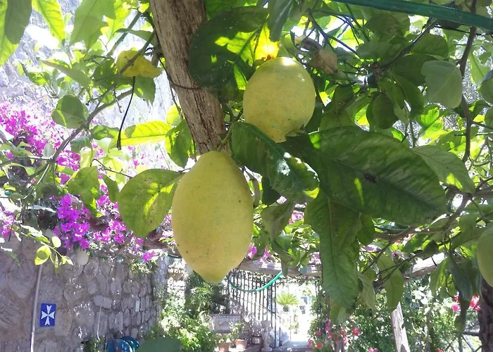 Casa Hermosa Amalfi
