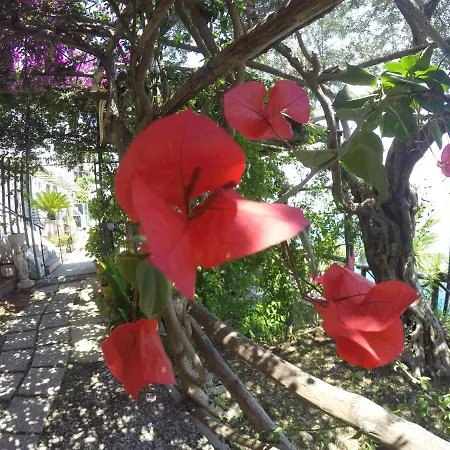 Casa Hermosa Couette-café Amalfi
