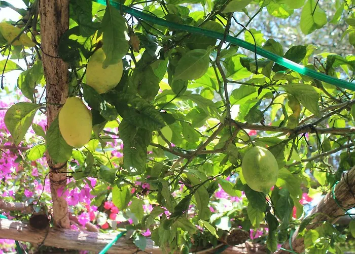 Alojamento de Acomodação e Pequeno-almoço Casa Hermosa