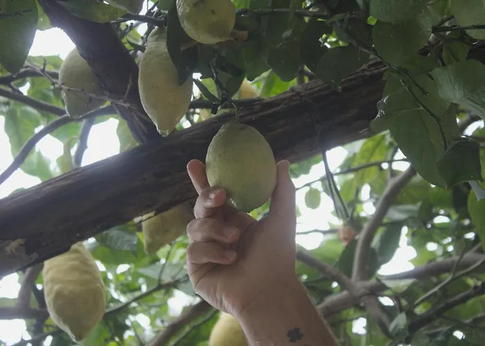 Casa Hermosa 2* Amalfi